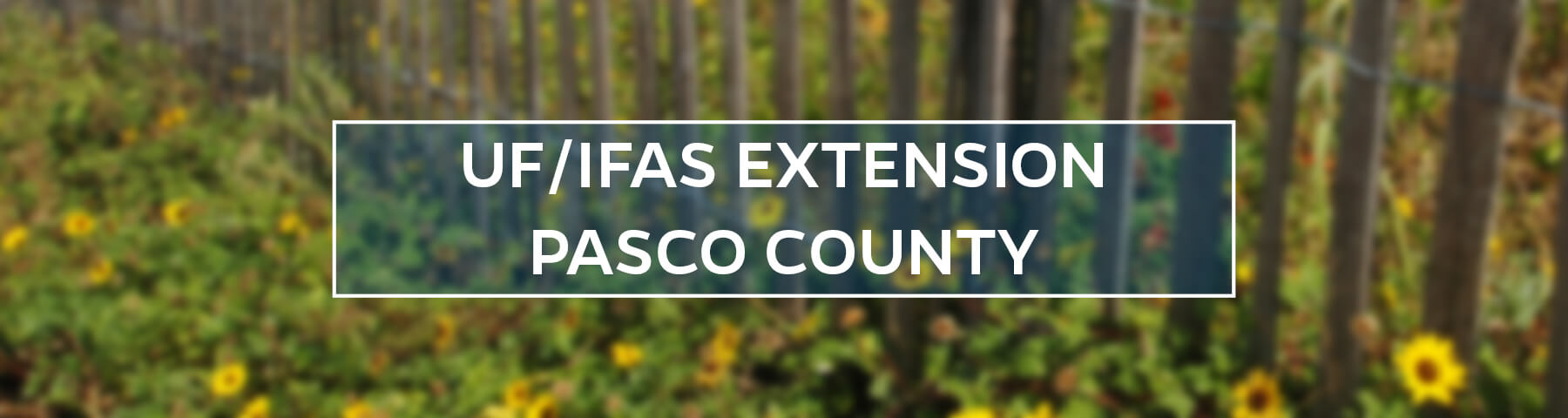 UF/IFAS Extension Pasco County