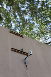 rain sensor mounted on a wall below a mature live oak