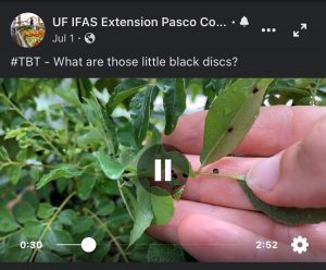 Screenshot with hyperlink to Facebook video post - "What are those little black discs?