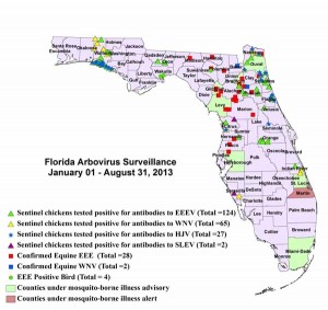 florida mosquito horse eee department health agriculture advisories ifas wnv vaccinations sure date population surveillance ufl edu