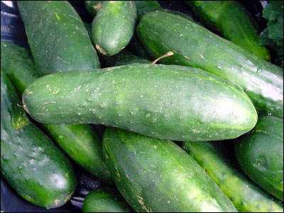 cucumber_fruit