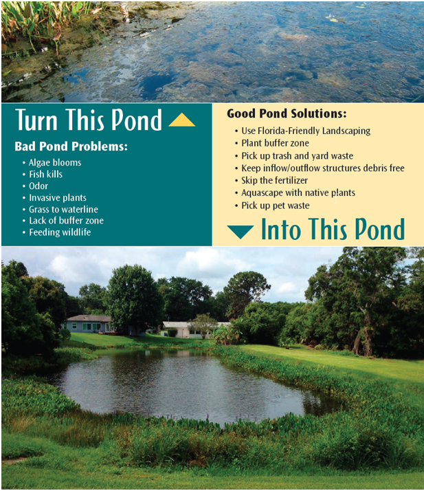 adopt a pond