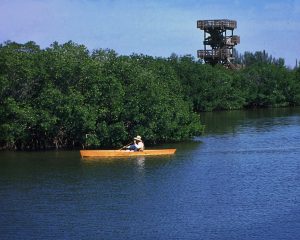 Tower with Kayak