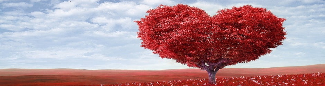 A tree with red leaves, with the branches in the shape of a giant heart.