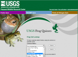 Screenshot of USGS Frog Call Lookup Website