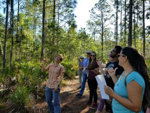 Participants on a guided hike at Brooker Creek Preserve led by author