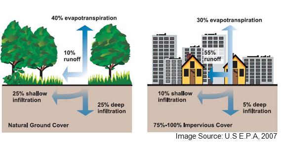 contrasting the natural water cycle with the urban water cycle showing increased runoff in the urban water cycle