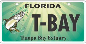 Tampa Bay Estuary Program specialty license plate