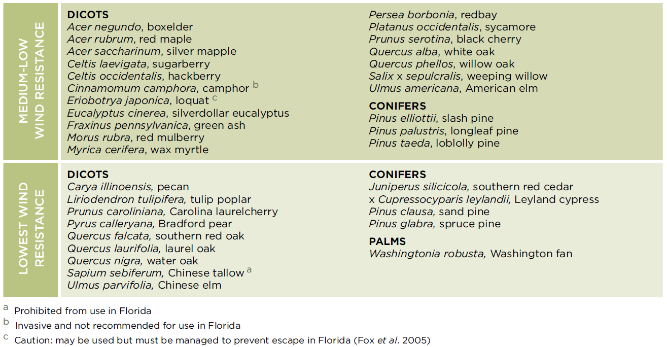 Wind resistance of southeastern US coastal plain tree species which were analyzed in the UF/IFAS Publication, FR17400 (pg. 11) by Mary Duryea and Eliana Kampf. 