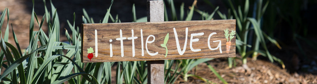 sign that says, "little veg" in a garden