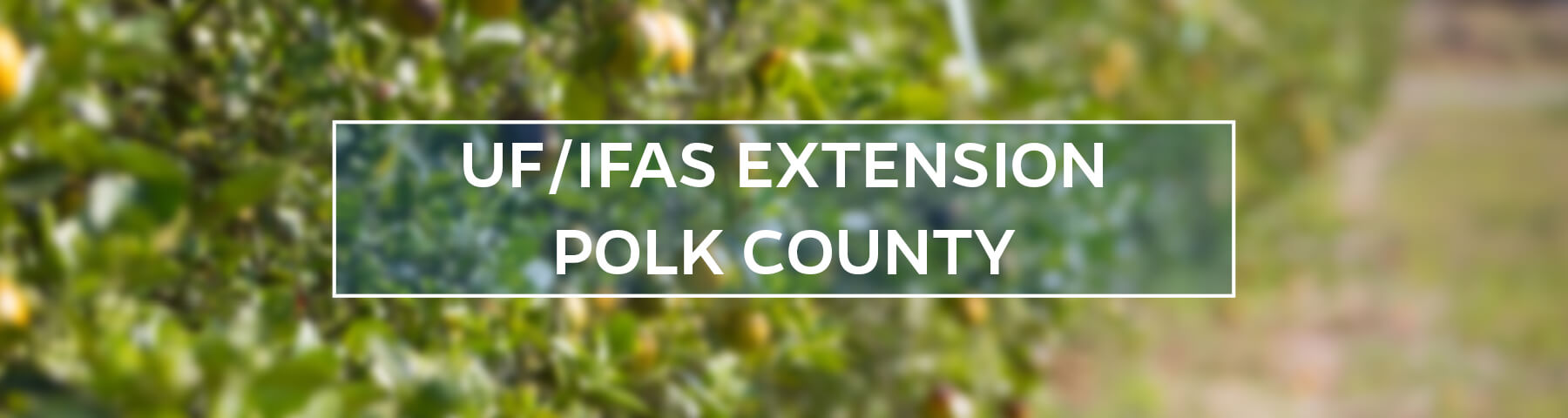 UF/IFAS Extension Polk County