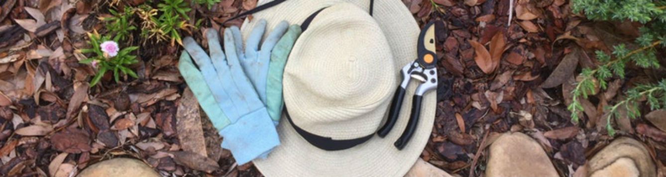 Hat, pruners and gloves in the garden