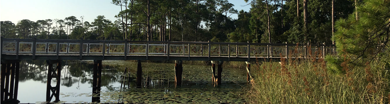 bridge over natural Florida lake