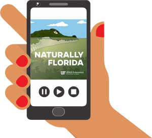 Cartoon hand holds a phone with the Naturally Florida podcast page on the screen.