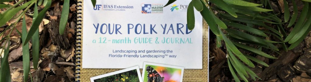 Your Polk Yard, Guide and Journal cover photo