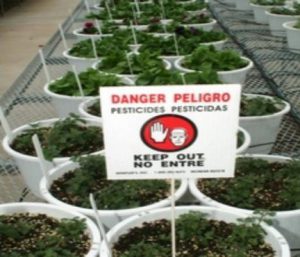 Pesticide danger sign