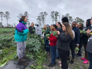 Agent teaching a group of students about the artichoke crop