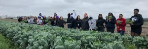 High school students standing in front of brussels sprout crop