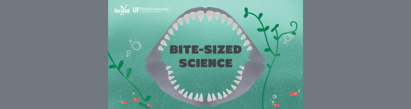 Bite-sized science header