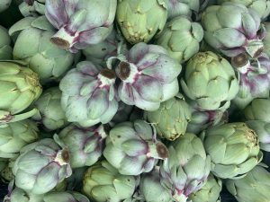artichokes in a bundle already harvested