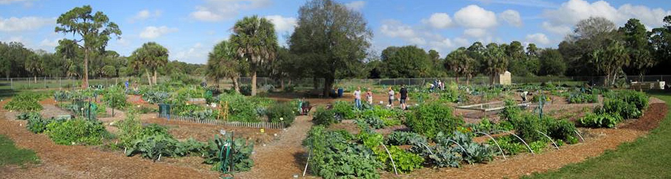 panoramic view of culverhouse community garden