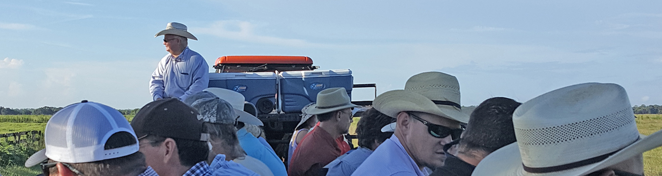 Attendees at the 2018 South Florida Forage Management Tour and Workshop take a "hay ride" at Longino Ranch