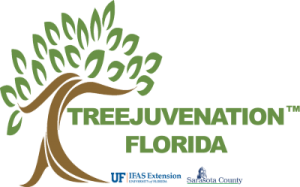 treejuvenation florida icon, with uf/ifasextension, and sarasota county logos