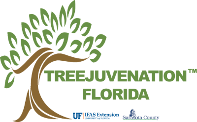 treejuvenation florida icon, with uf/ifasextension, and sarasota county logos