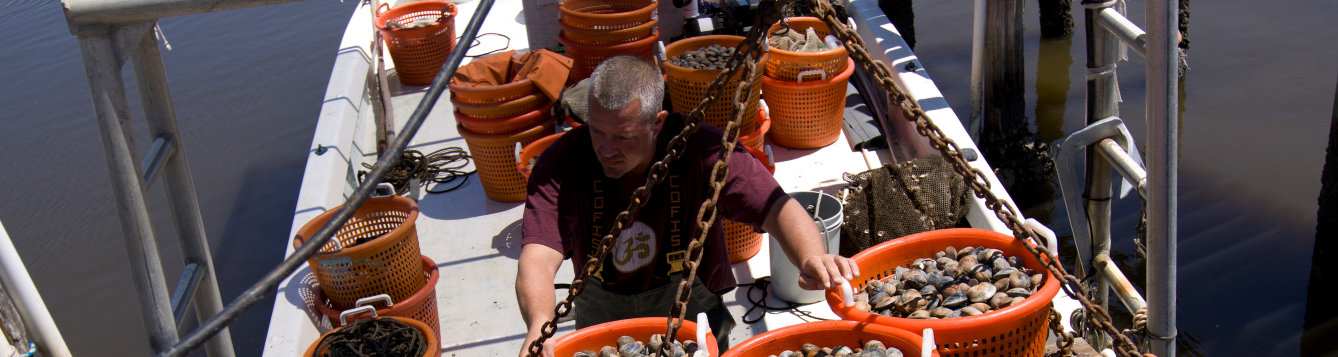 a deckhand works aboard a clam harvesting ship