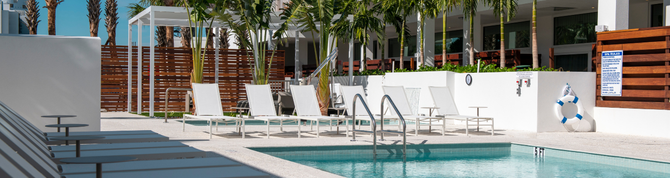 poolside at the modern hotel in sarasota, with chaise lounges ringing the pool and a row of palm trees in the background