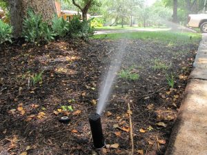 Sprinkler head irrigating garden