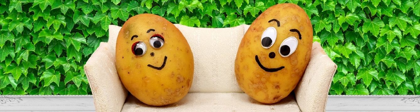 humorous illustration of two potatoes lounging on couch, as "couch potatoes"