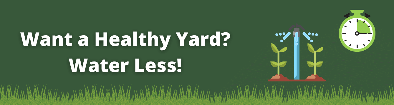 Want a Healthy Yard? Water less! with grass, sprinkler, and timer