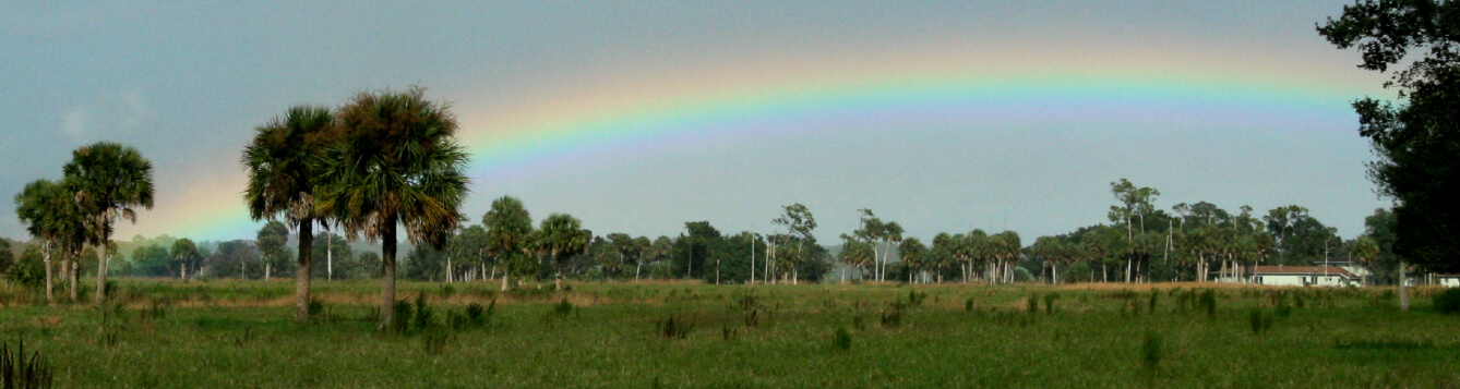 A rainbow over a southern Florida ranch highlights prairie, grasslands, and palm trees. [CREDIT: UF/IFAS, Tom Wright]