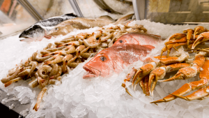 An iced display case in a market shows off a display of fish and seafood, including shrimp and red snapper. [CREDIT: UF/IFAS, Tyler Jones]