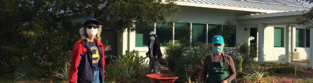 Master Gardener Volunteer program members work on landscape demonstrations at the UF/IFAS Extension Sarasota County office. [CREDIT: UF/IFAS Extension Sarasota County]