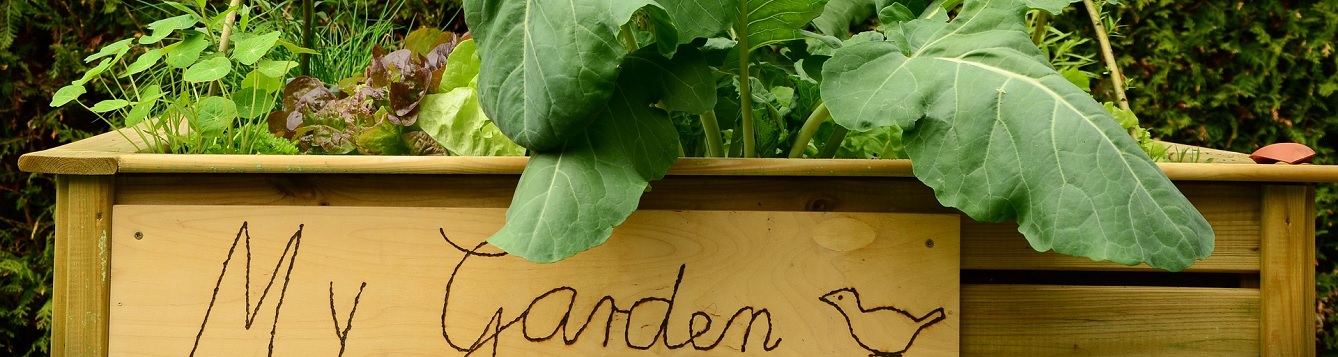 Picture of raised bed garden with My Garden written on side.