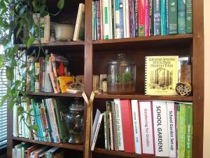 bookshelf with terrarium of millipedes 
