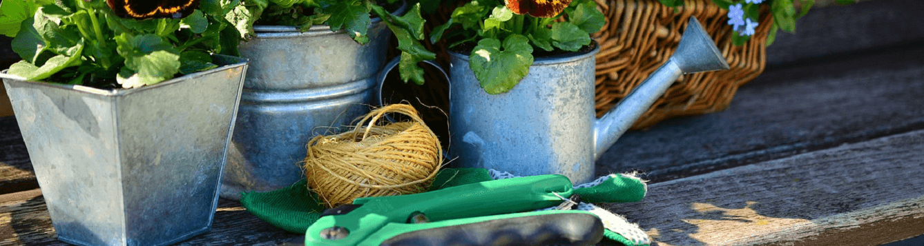 picture of watering can, twine, garden tools, plants