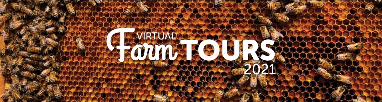Virtual farm tour 2021 logo with bees in the background