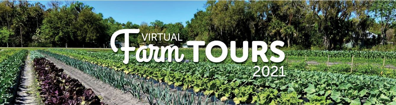 Virtual Farm tour 2021 logo with rows of crops in background