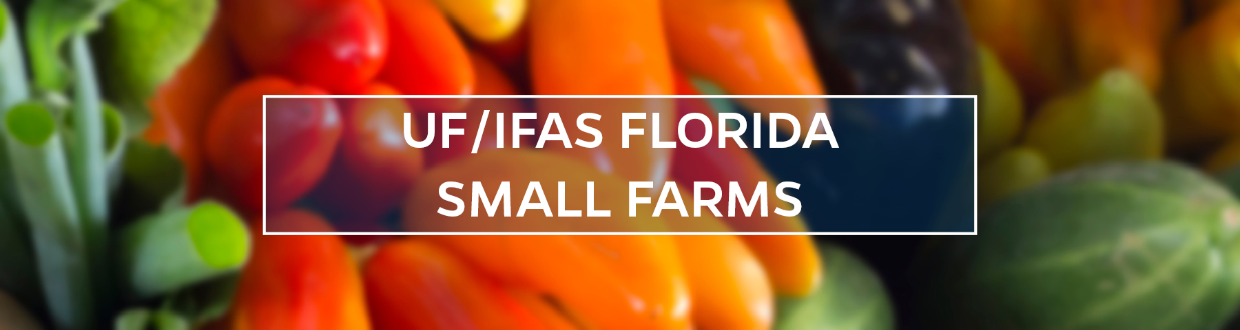 UF/IFAS Florida Small Farms