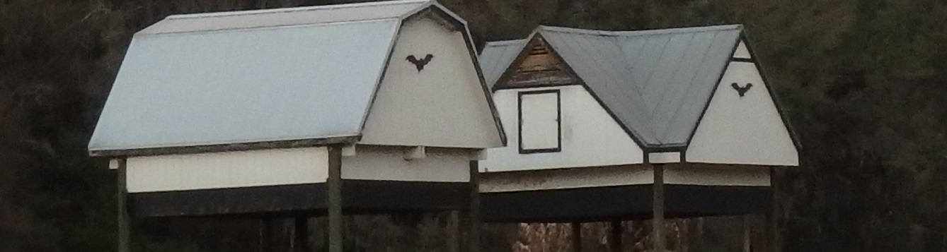 UF Bat House