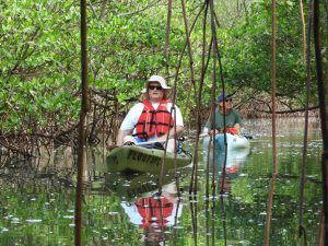 Ken Gioeli and Bill Gibson motorized kayaking the Indian River Lagoon