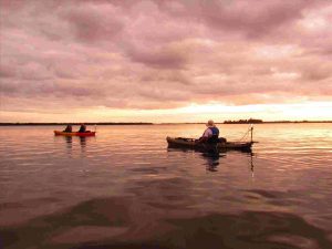 Motorized Kayaking in the Indian River Lagoon