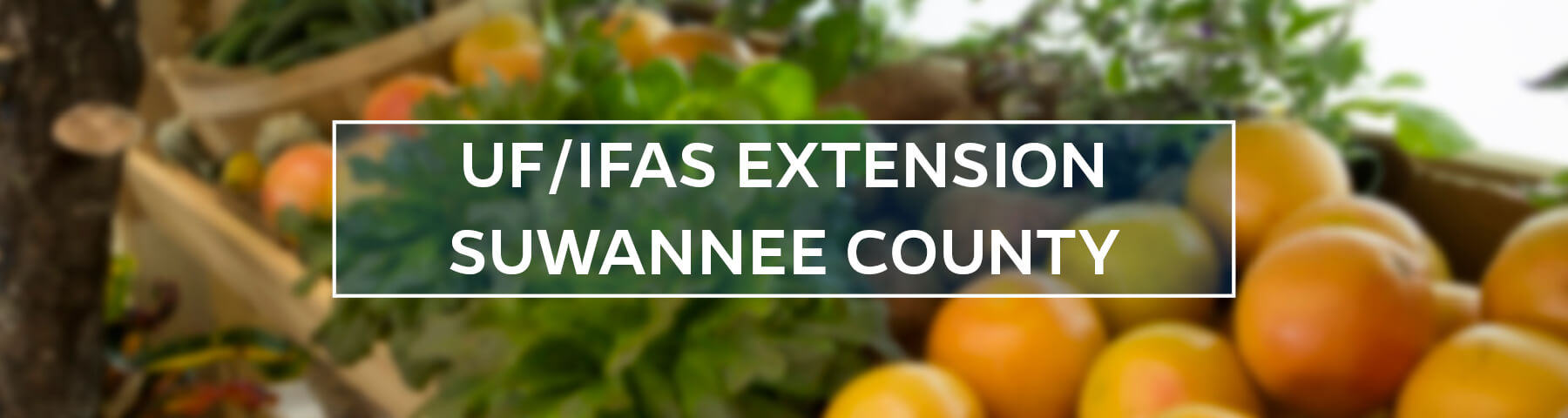 UF/IFAS Extension Suwannee County
