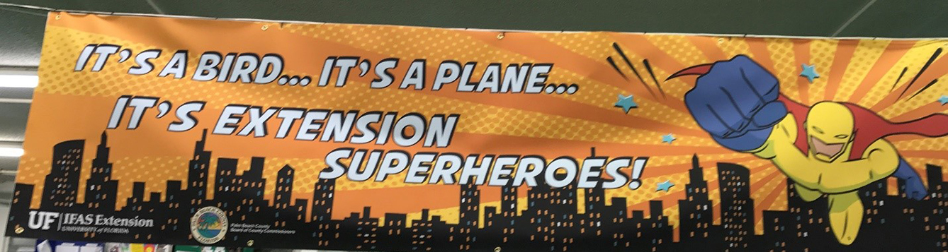 It's a bird, it's a plane, it's Extension superheroes banner
