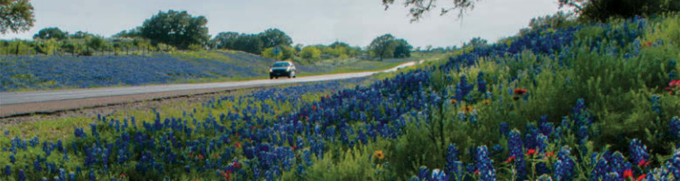 Texas highway with wildflowers on both sides of the roadway