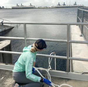 A scientist taking water samples from Everglades stormwater treatment area.