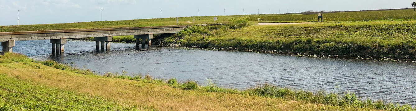Everglades stormwater treatment area